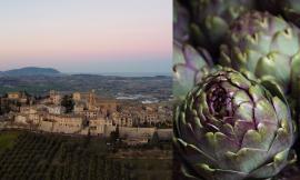 Montelupone, oltre 4mila carciofi fritti in due giorni: numeri da record per la sagra