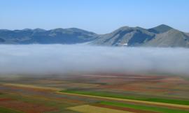 Fioritura di Castelluccio, si potrà transitare in auto ma non sostare: servizio bus anche dalle Marche