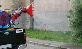 Civitanova, al via la disinfestazione contro le zanzare: ecco quando e le zone interessate