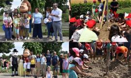 Festa dell'albero a Montecosaro: gli alunni piantano tigli e mandorli. Tra gli ospiti Giobbe Covatta