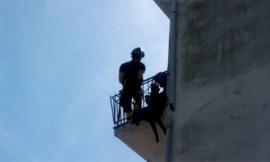 Cane incastrato nella ringhiera del balcone e sospeso nel vuoto: intervengono i Vigili del Fuoco