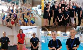 Il Grillo Civitanova, le piccole del nuoto sincronizzato brillano a Fermo con 7 medaglie