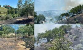 Tolentino - Brucia una collina, lambite le abitazioni: interviene l'elicottero dei Vigili del Fuoco