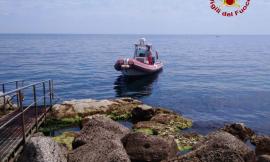 Delfino finisce sugli scogli: carcassa recuperata dai Vigili del Fuoco