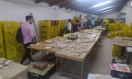 Unimc, magazzini aperti a Urbs Salvia