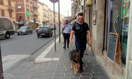 Controlli antidroga a Macerata, passate al setaccio varie zone della città: 15 persone identificate