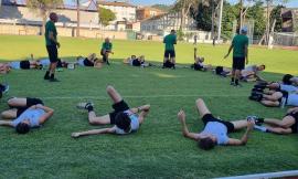 Serie D, ufficiali i gironi: il Tolentino confermato nel gruppo F, debutto in casa contro la Vastese