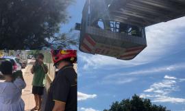 Pappagallo fugge da un'abitazione e vola su un albero: intervengono i vigili del fuoco