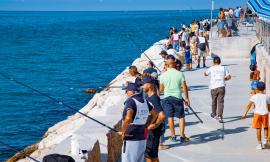 Civitanova, "A pesca con mamma e papà": l'evento si conferma un successo