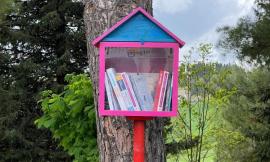 Civitanova, condividere libri per ridurre le dipendenze digitali: la Giunta aderisce al progetto bookcrossing