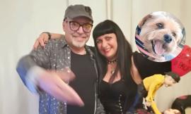 Toffee, travolta e uccisa: l’appello dell’associazione animalista per adottare la sua cagnolina Trilli