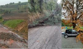 Nubifragio, a San Severino frane e smottamenti: alberi si abbattono su auto in sosta (FOTO)