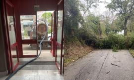 Maltempo, disagi a Tolentino per alberi e rami caduti: allagato il palazzetto dello sport
