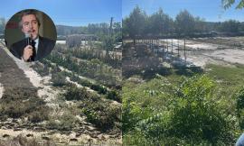 Alluvione Marche, il sottosegretario del Mipaaf Battistoni visita i territori colpiti