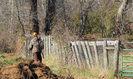 Operazione antibracconaggio nel Maceratese: sequestrati 5 richiami acustici per quaglie