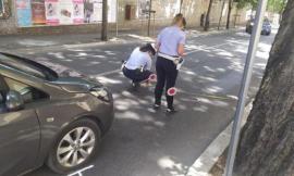 Macerata, arrivano i controlli della velocità in viale Indipendenza: nuovi lavori in via Tucci