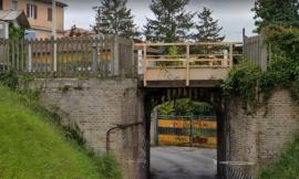 Macerata, albero da abbattere: chiude al traffico via Marche, come cambia la viabilità