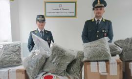 Porto Sant'Elpidio, sequestrati 86 chili di marijuana: 3 maceratesi denunciati