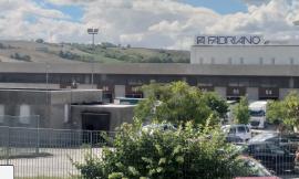 Maltempo, albero caduto trancia fili elettrici: stop produttivo per la cartiera