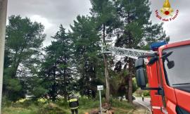 Maltempo, vento forte nelle Marche: via guaina dal tetto della chiesa, vigili del fuoco al lavoro