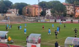 Serie D, dominio Pineto al "Della Vittoria": arriva l'ottava sconfitta per il Tolentino