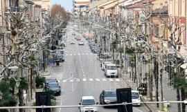 Civitanova, al via il piano potatura degli alberi: si inizia da Corso Umberto