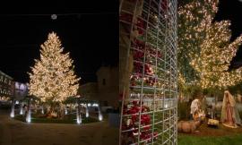 San Severino, l'incanto del Natale: presepe ad altezza naturale e maxi albero in piazza (FOTO)