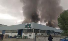 Incendio Rimel, allerta in 6 comuni: mascherine all'aperto e niente raccolta ortaggi a foglia larga