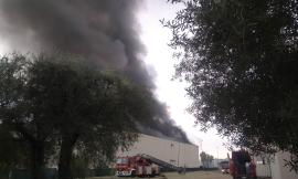 Incendio Rimel: "Risposte subito, mancato raccolto degli ortaggi mette in ginocchio gli agricoltori"