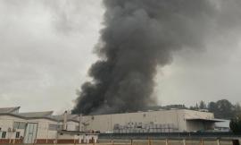 Incendio Rimel, arriva l'ok sul consumo di ortaggi: "Analisi favorevoli per la sicurezza alimentare"