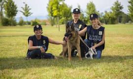Marche, guardie zoofile Oipa: al via le iscrizioni per il corso gratuito