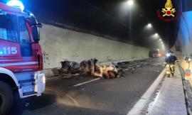 Tragedia in autostrada, vettura prende fuoco dopo lo schianto con un camion: muore un uomo