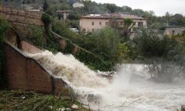 Maltempo San Severino, cade albero sulla strada per Gaglianvecchio. Frane sulle comunali