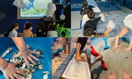 Civitanova, "Il mare a scuola": laboratorio multisensoriale all'istituto comprensivo "Via Ugo Bassi"