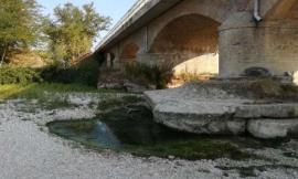 Due milioni per la messa in sicurezza del ponte sulla Provinciale 46: ok al progetto