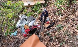 Tolentino, discarica a cielo aperto tra le siepi: spuntano pneumatici, bottiglie di vetro e plastica