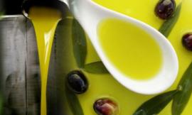 "Cingulum l'olio del Papa", al via il festival dedicato a un'eccellenza del territorio