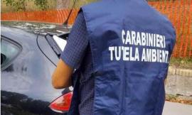 Traffico oli esausti, sequestri anche nelle Marche: otto indagati
