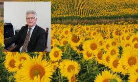 Girasole, "Nelle Marche un cavillo burocratico ne mette a rischio la produzione"