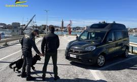 Civitanova, blitz antidroga in un bar: trovata eroina, cocaina e hashish. In tre espulsi dall'Italia