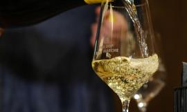 Dalle terre del Verdicchio al via il grand tour delle Marche