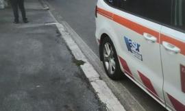 Travolta da un'auto mentre attraversa la strada con il cane: donna muore in ospedale