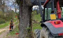 Si ferisce a una gamba e cade mentre taglia un ramo: morto un agricoltore