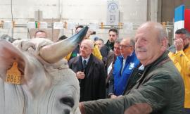 Due aziende maceratesi conquistano Campanialleva: De Luca alla premiazione