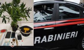 San Severino, papà e figlio con la droga in casa, scatta il sequestro. Minacce ai militari in caserma