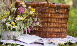 Macerata, picnic del primo maggio al parco dell'Acquedotto: evento solidale al fianco della Lilt