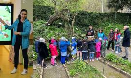"Cittadini Sostenibili": progetto dell'università di Camerino con i bambini della scuola dell'infanzia
