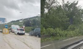 Maltempo nel Maceratese: allagamenti e alberi caduti, disagi in superstrada. Vigili del fuoco al lavoro