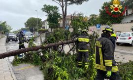 Marche nella morsa del maltempo, anche domani allerta meteo arancione