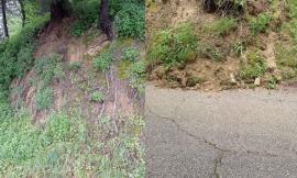 Maltempo San Severino, alberi pericolanti in via Bramante: chiuso tratto di strada